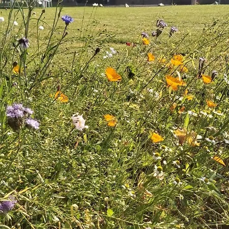 La Tourette With Private Pool And Nearby Swimming * Saint-Genes-la-Tourette